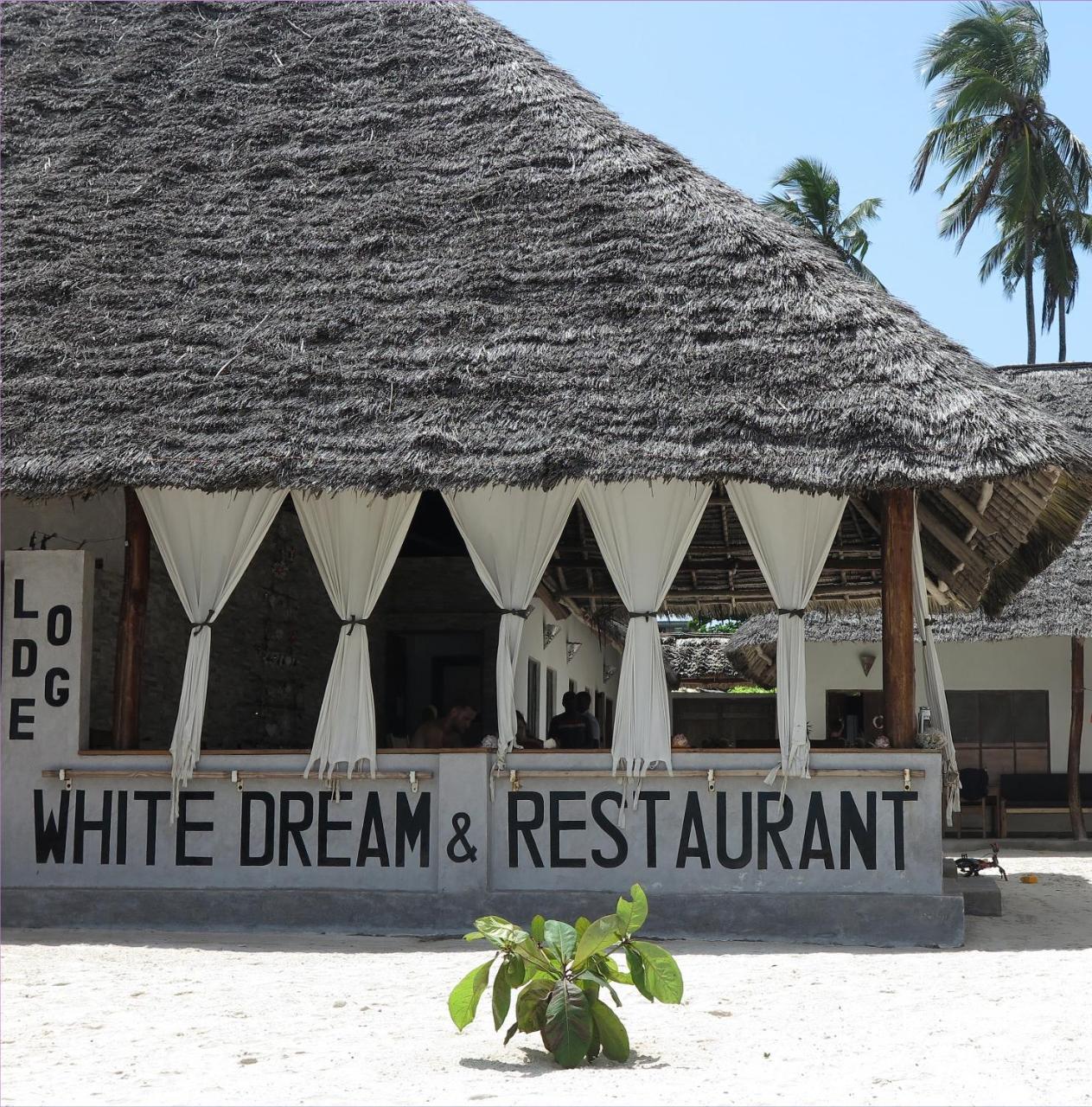 Bed and Breakfast White Dream Kiwengwa  Exterior foto